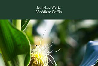 Publications – Jean-Luc WERTZ